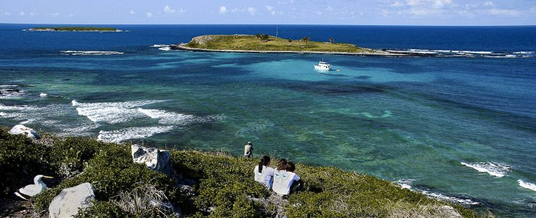 Arquipélago_de_Abrolhos6